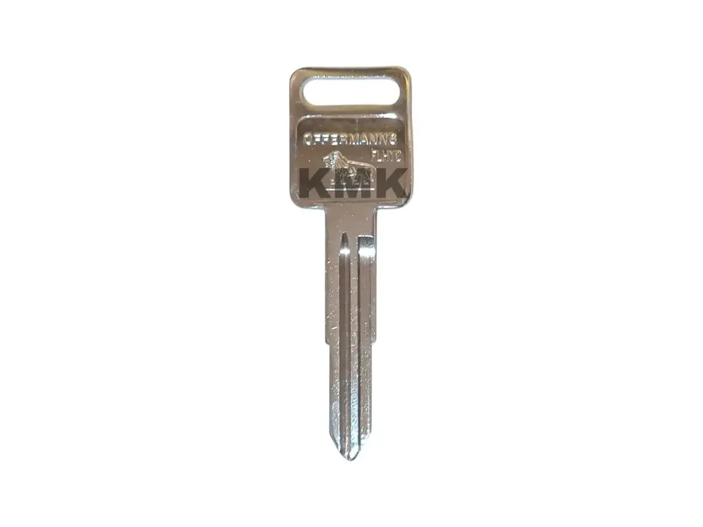 FLHY2 LLAVE OFFERMANNS FLOOD